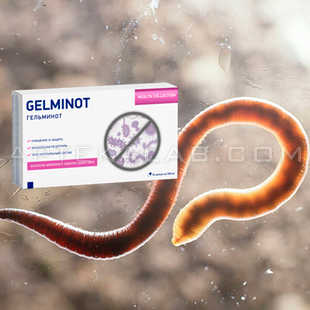 Гельминот купить в аптеке в Таше-Кумыре